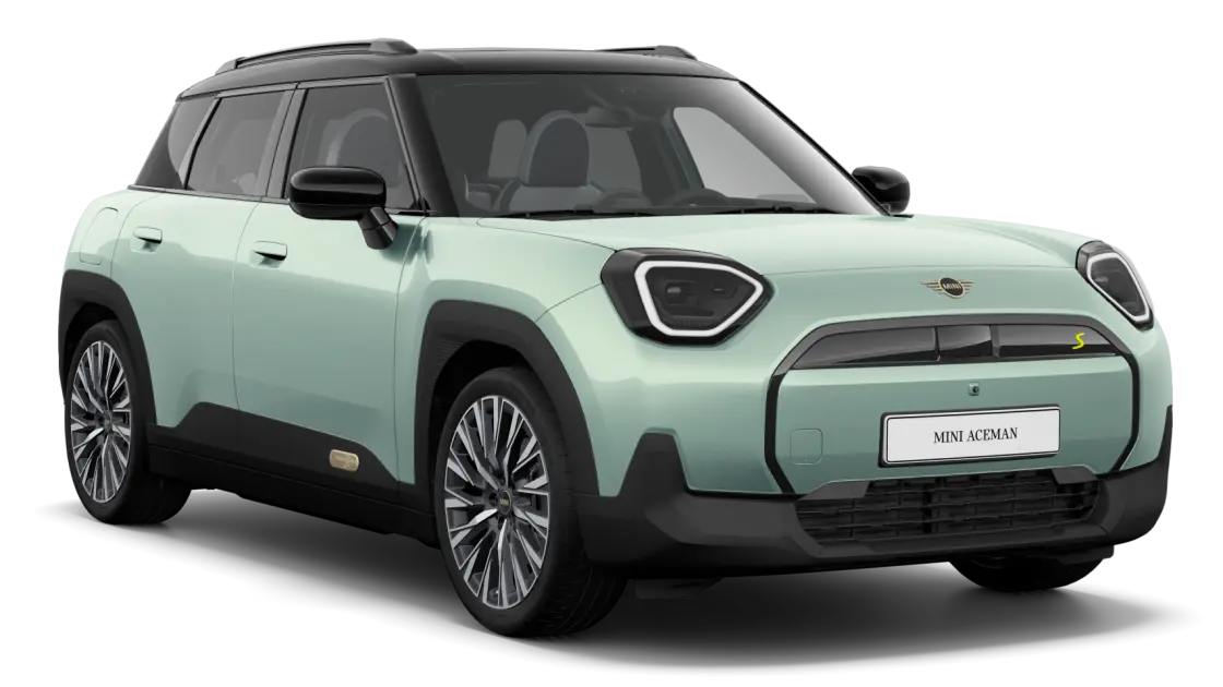 NI GRANDE NI PEQUEÑO. ACEMAN.